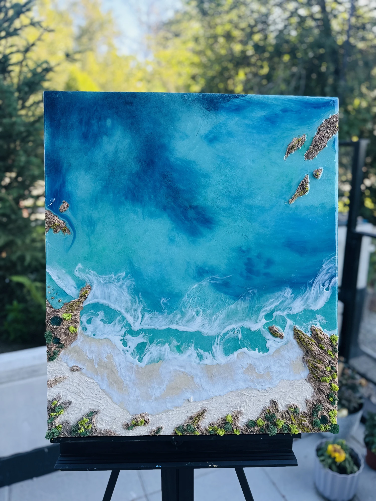 The Hidden Cove