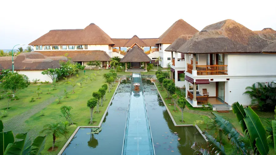 Over the lotus pond