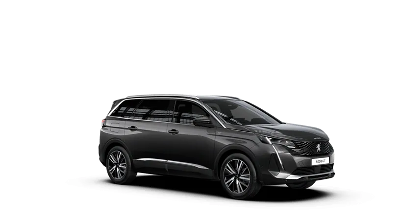 Business Van — Peugeot 5008 GT or similar