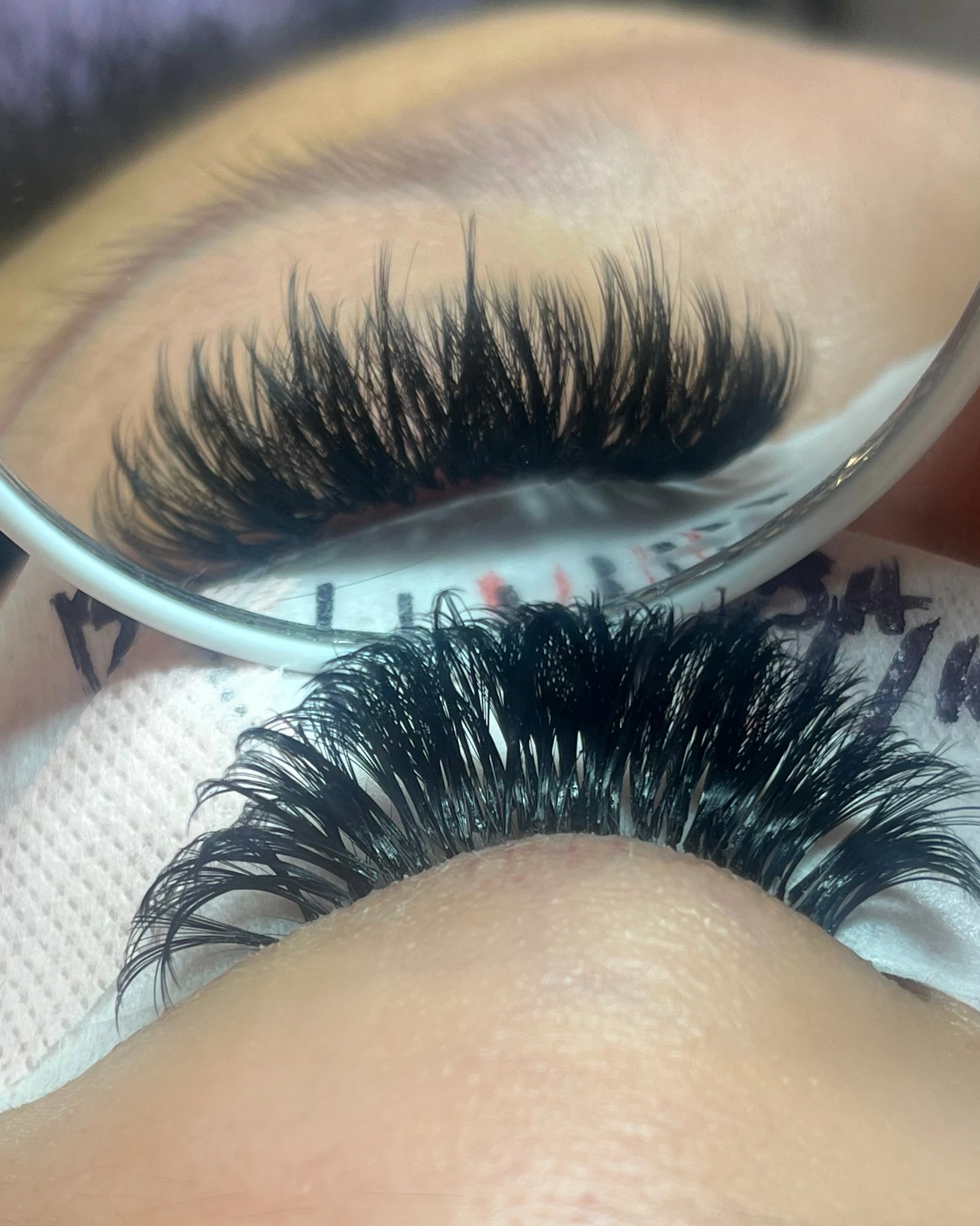 Wispy mega volume lashes in Lakewood, CO