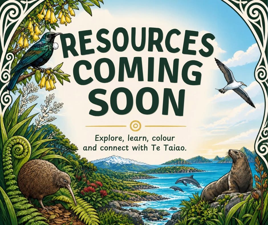 Resources Coming Soon - Explore, learn, colour and connect with Te Taiao