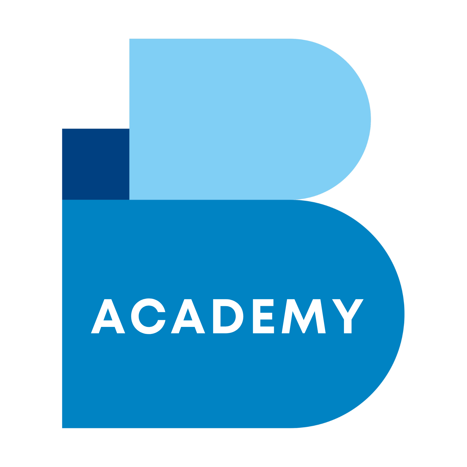 Beautysané Academy