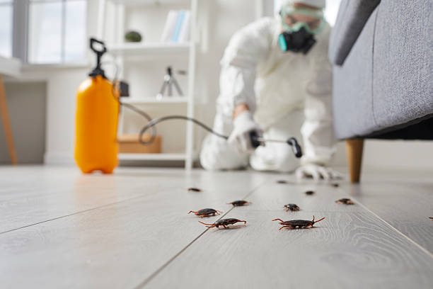 Pest Control technician