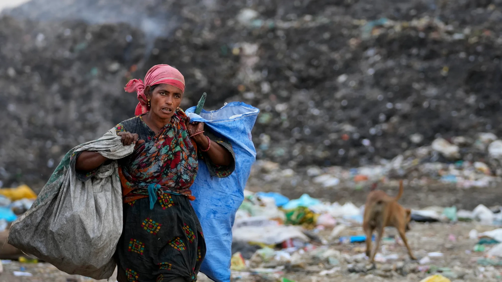 Safai Sathi carrying collected plastic across a landfill in India
