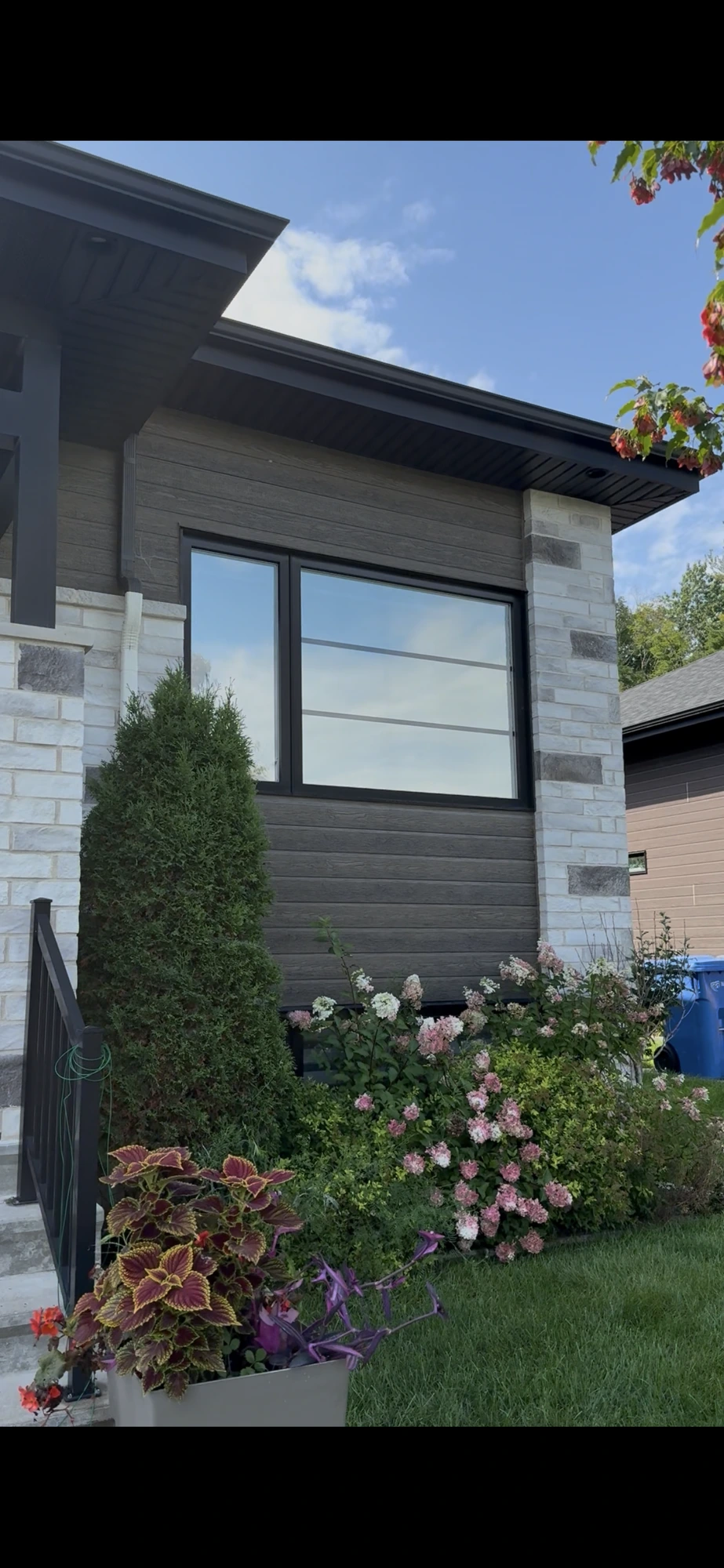 Fenêtres avec pellicule réfléchissante sur maison à revêtement clair