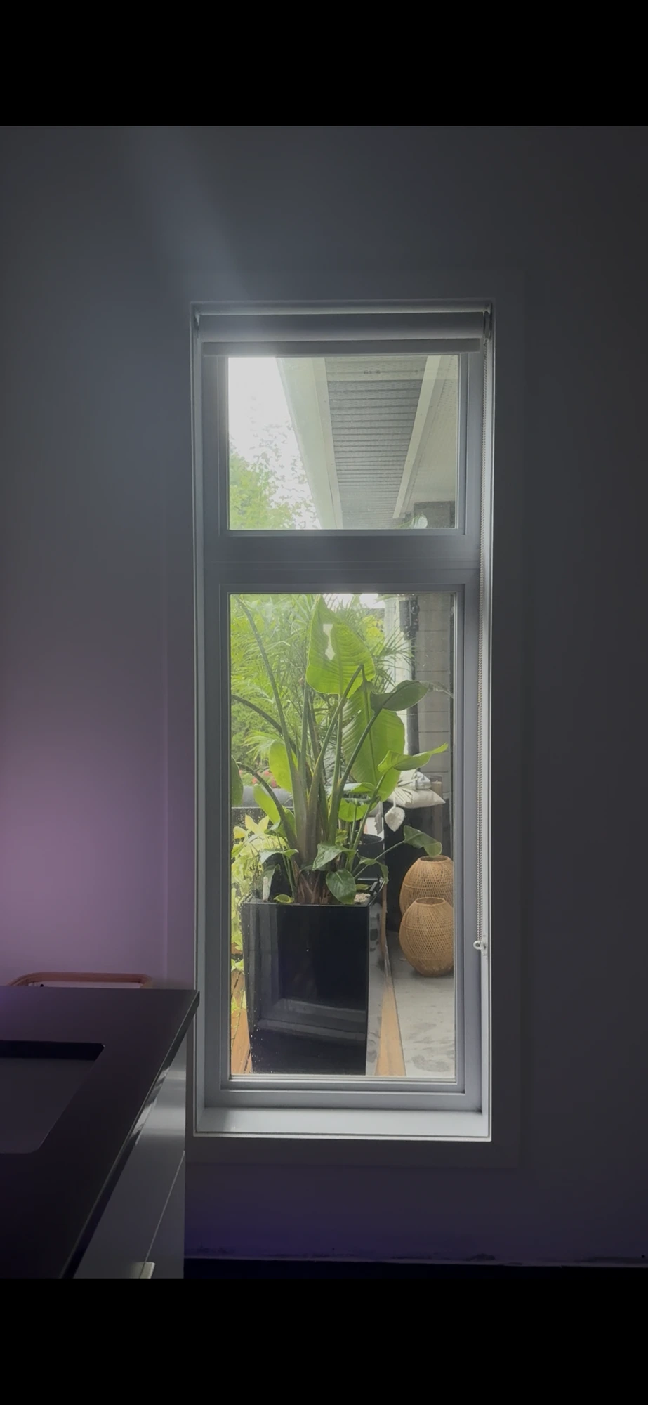 Vue depuis l'intérieur — la lumière traverse la pellicule installée