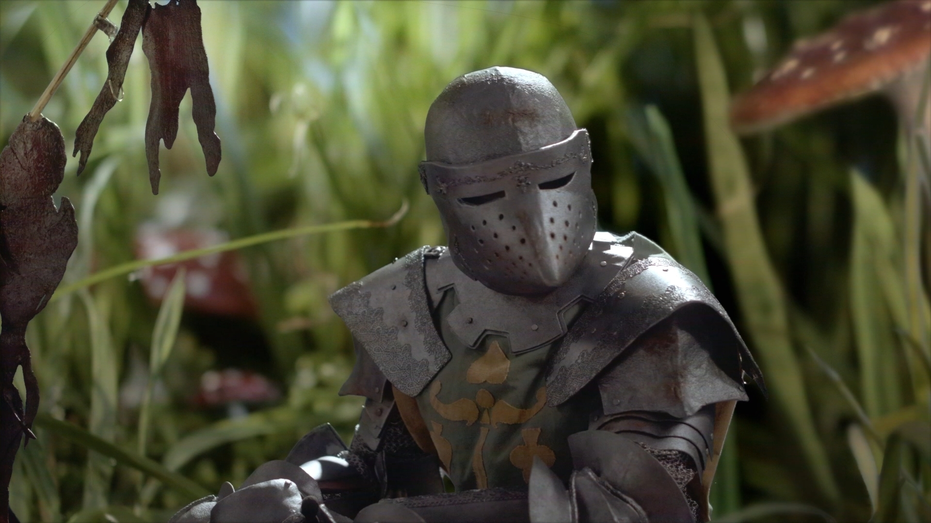 Little Knight · macro portrait