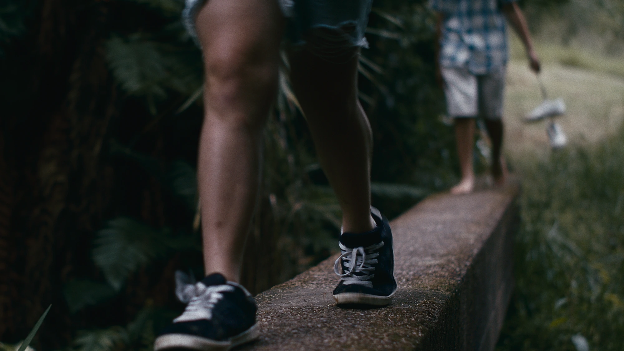 Two-shot &middot; log &middot; low angle
