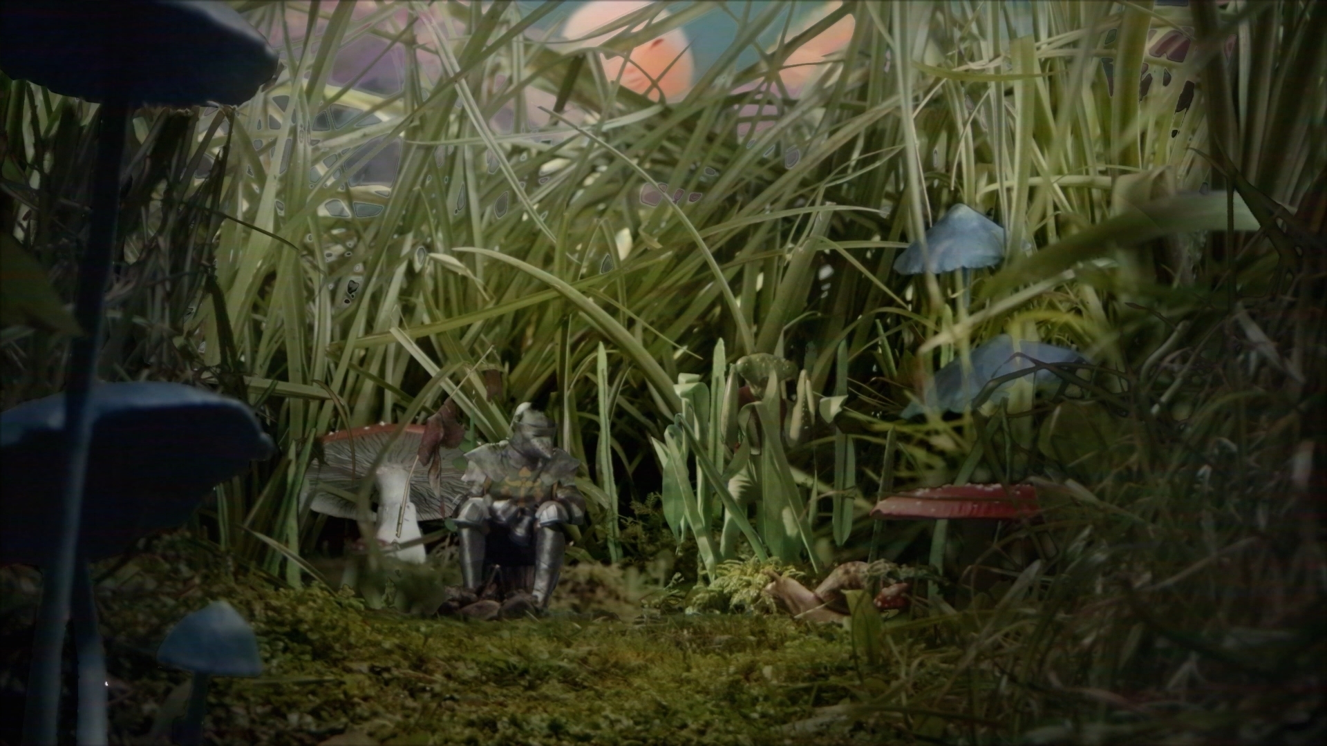 Little Knight · wide · grass world