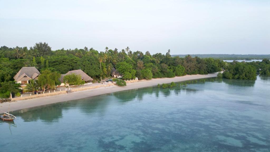 The Coastline from Above